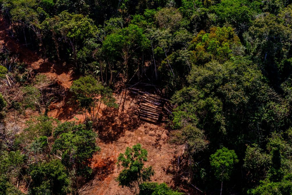 Foto: Mayke Toscano-Secom MT.